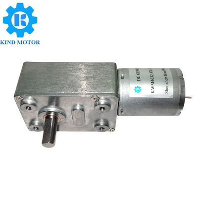 24V ডিসি ওয়ার্ম গিয়ার মোটর Rs370 কম নয়েজ কার্বন হোম যন্ত্রের জন্য ব্রাশ করা