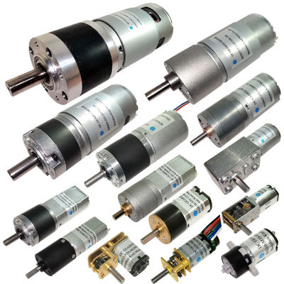 24V ডিসি ওয়ার্ম গিয়ার মোটর Rs370 কম নয়েজ কার্বন হোম যন্ত্রের জন্য ব্রাশ করা